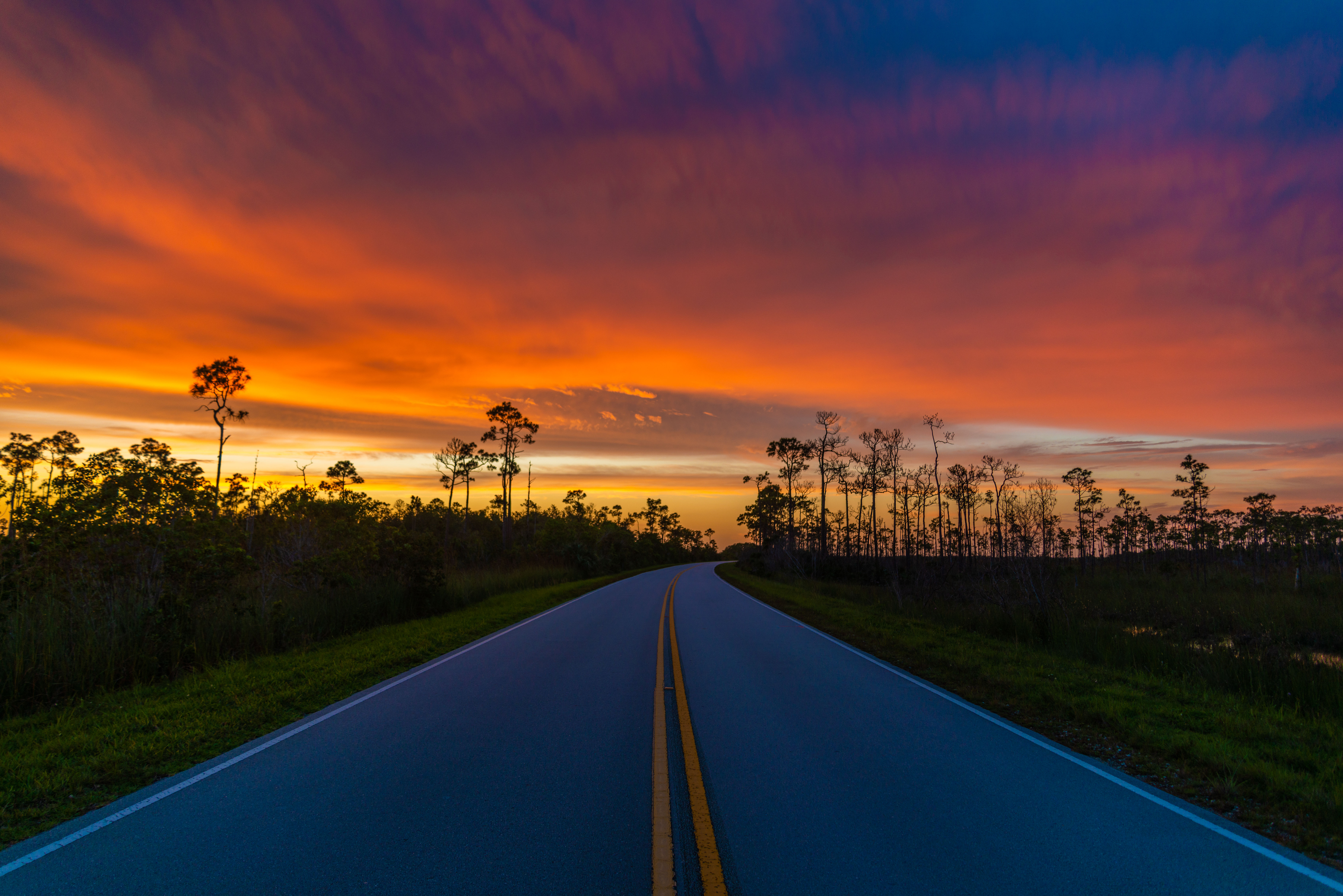 Everglades fine art photography print by Edin Chavez