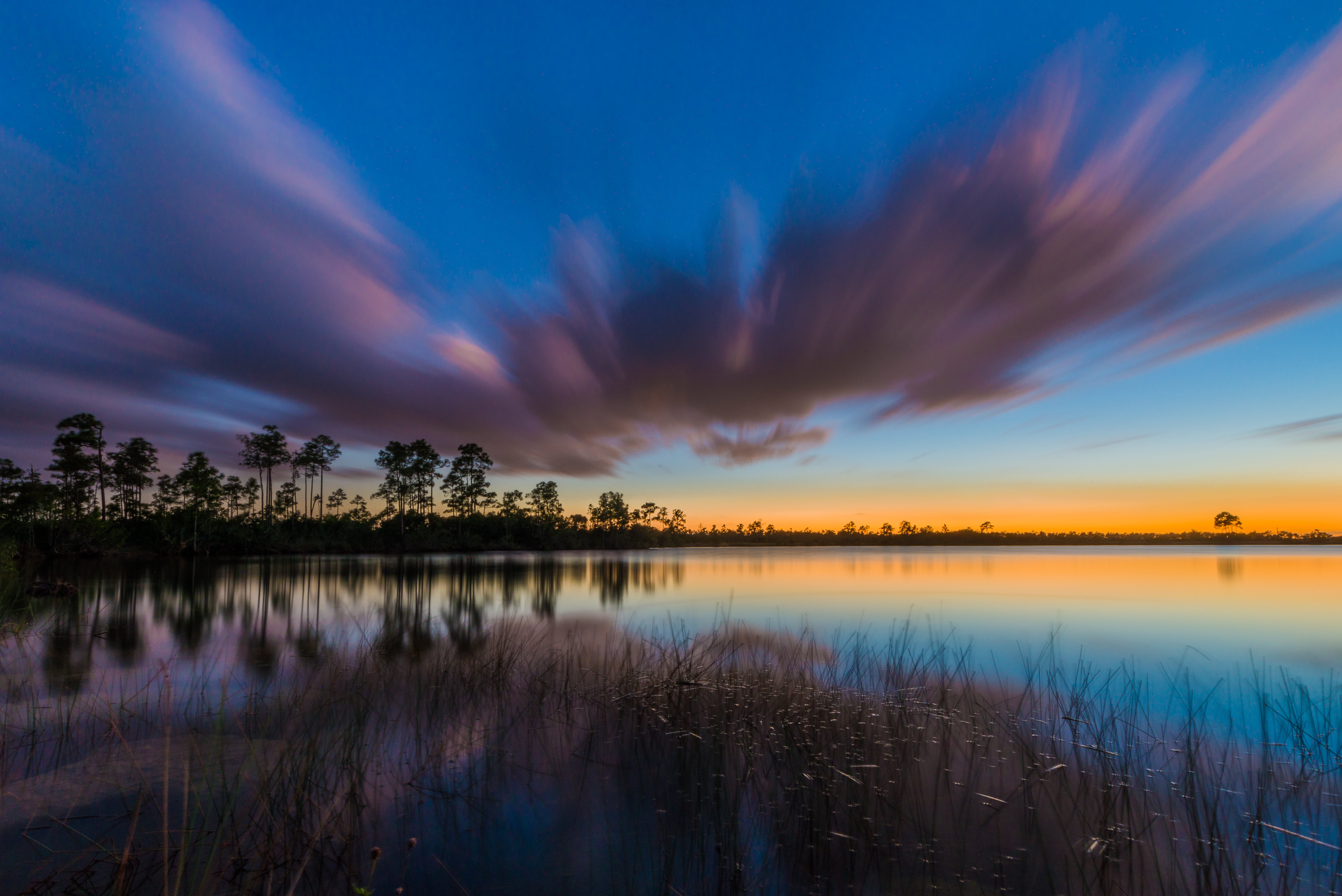 wilderness photography fine art print — wild Everglades, Florida, USA — Everglades (24 …