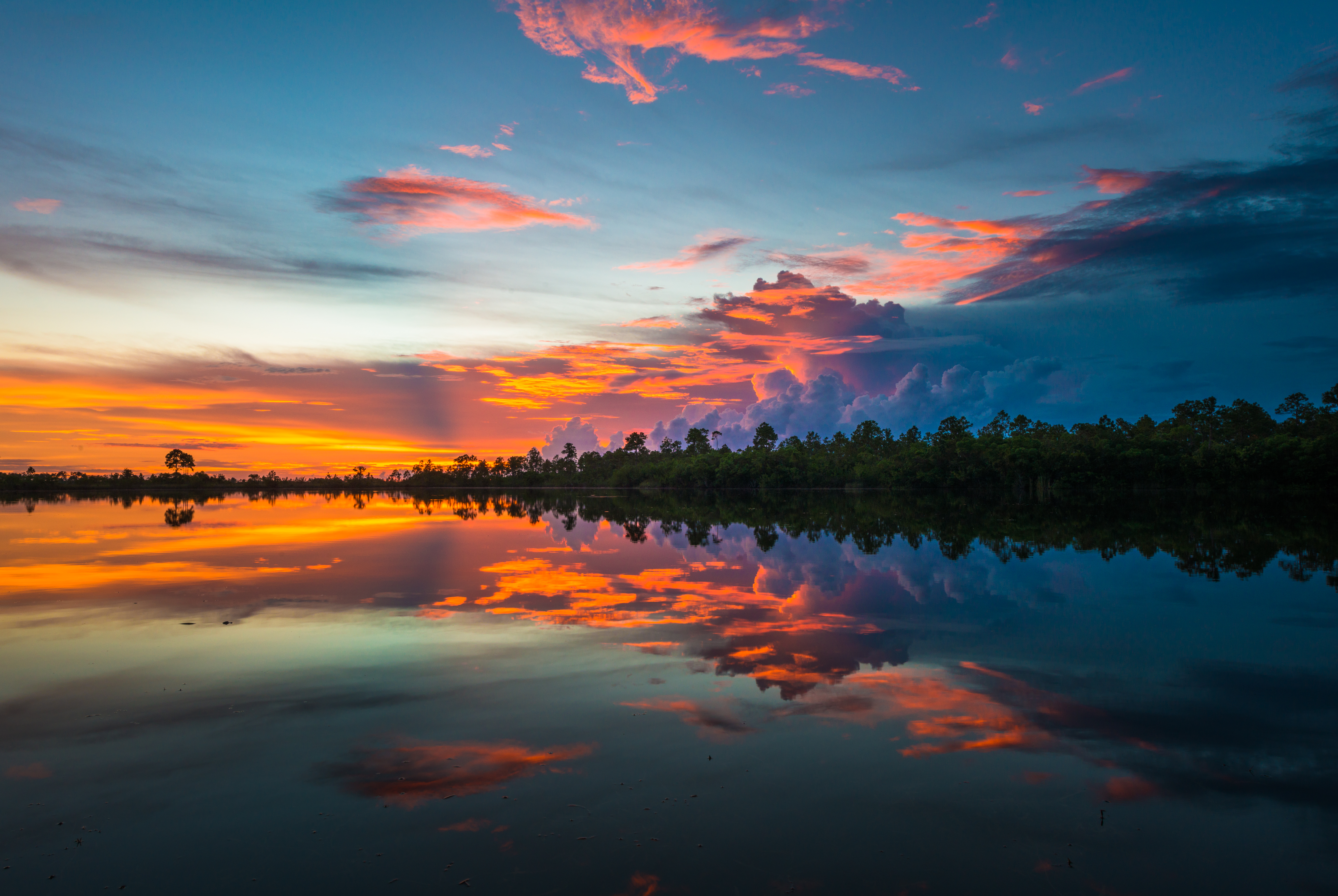 Everglades fine art photography print by Edin Chavez