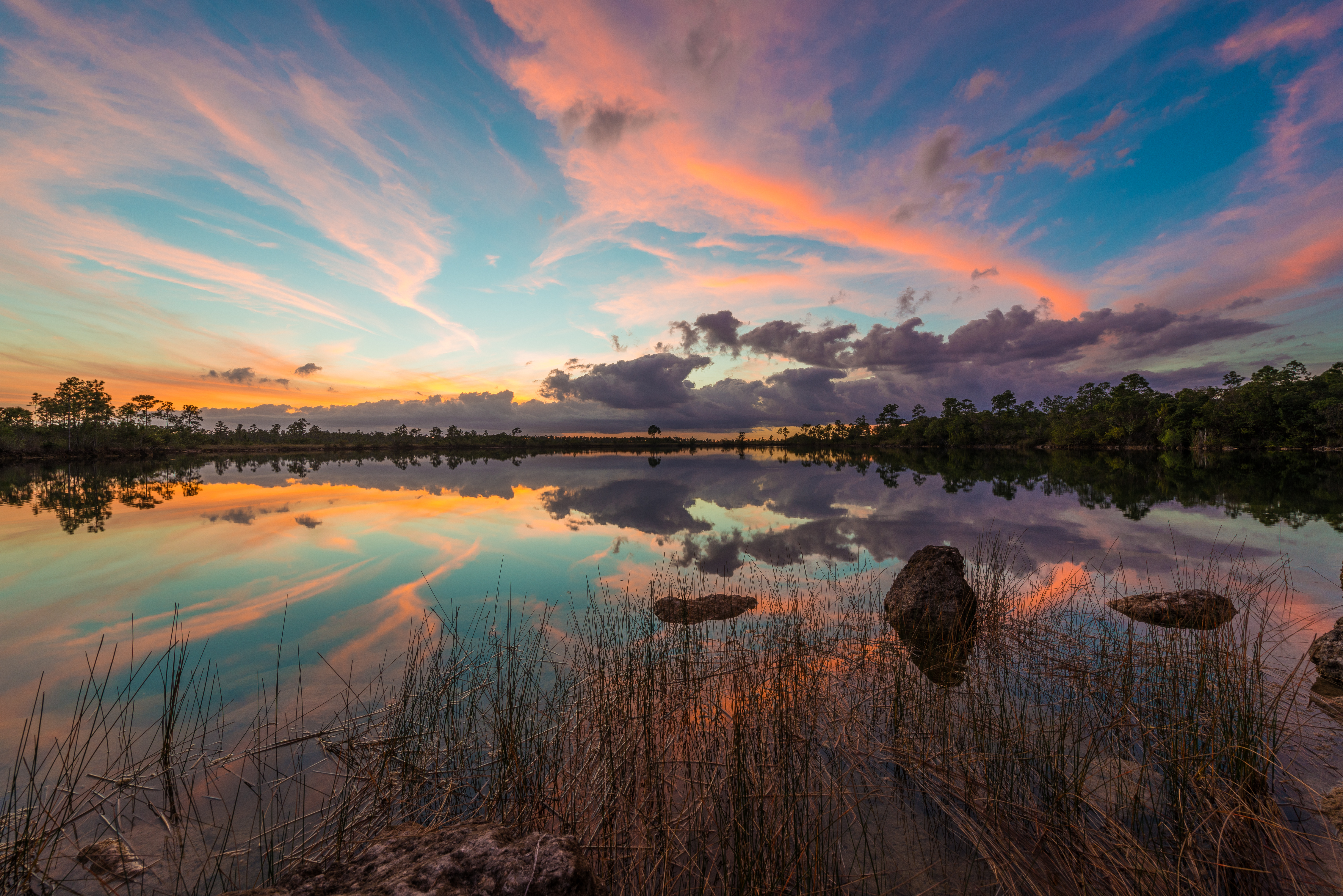 Florida, USA fine art photography print — Everglades by Edin Chavez — Everglades (25 Of…