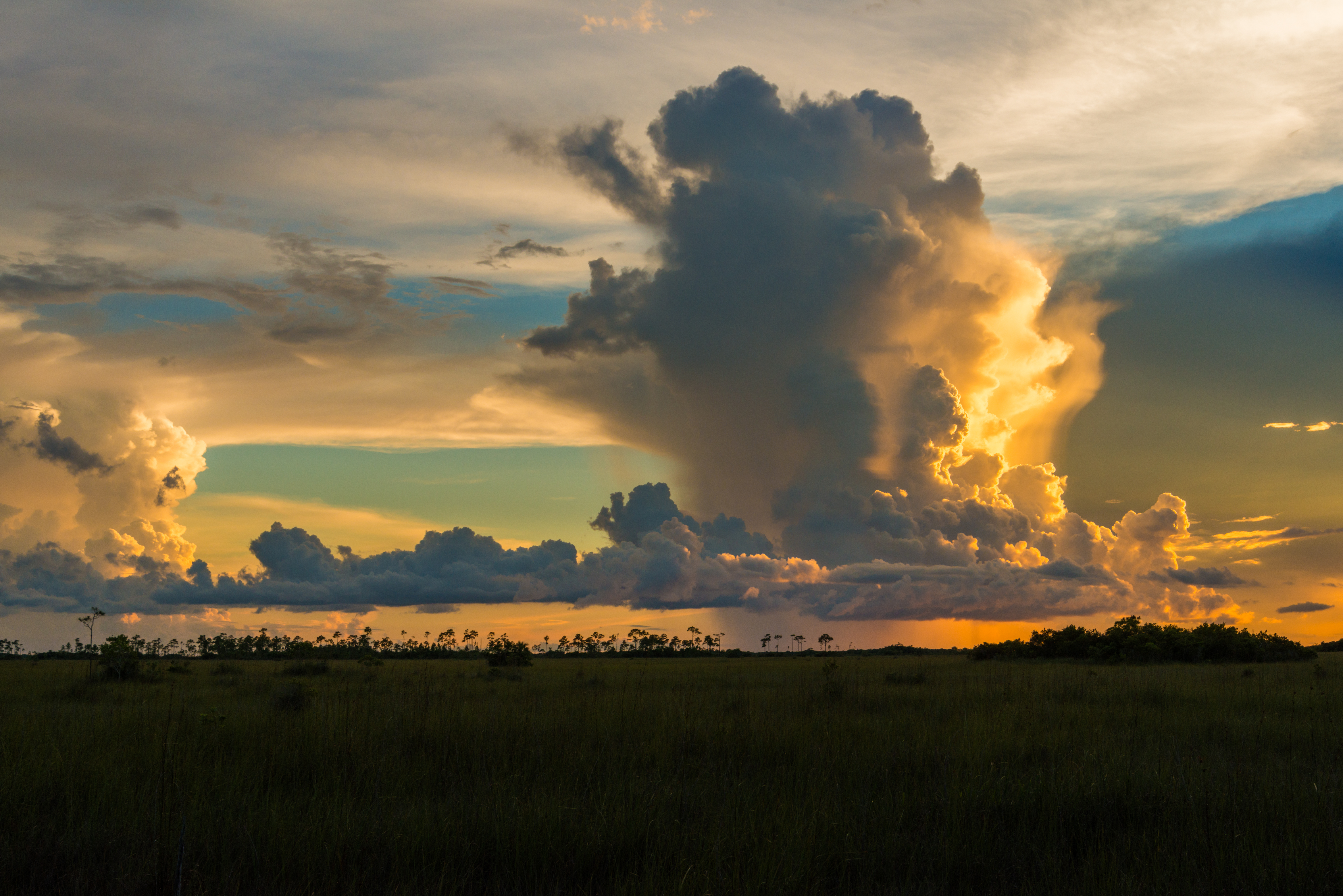 Limited edition Everglades photography — Florida wetlands fine art print — Everglades (…