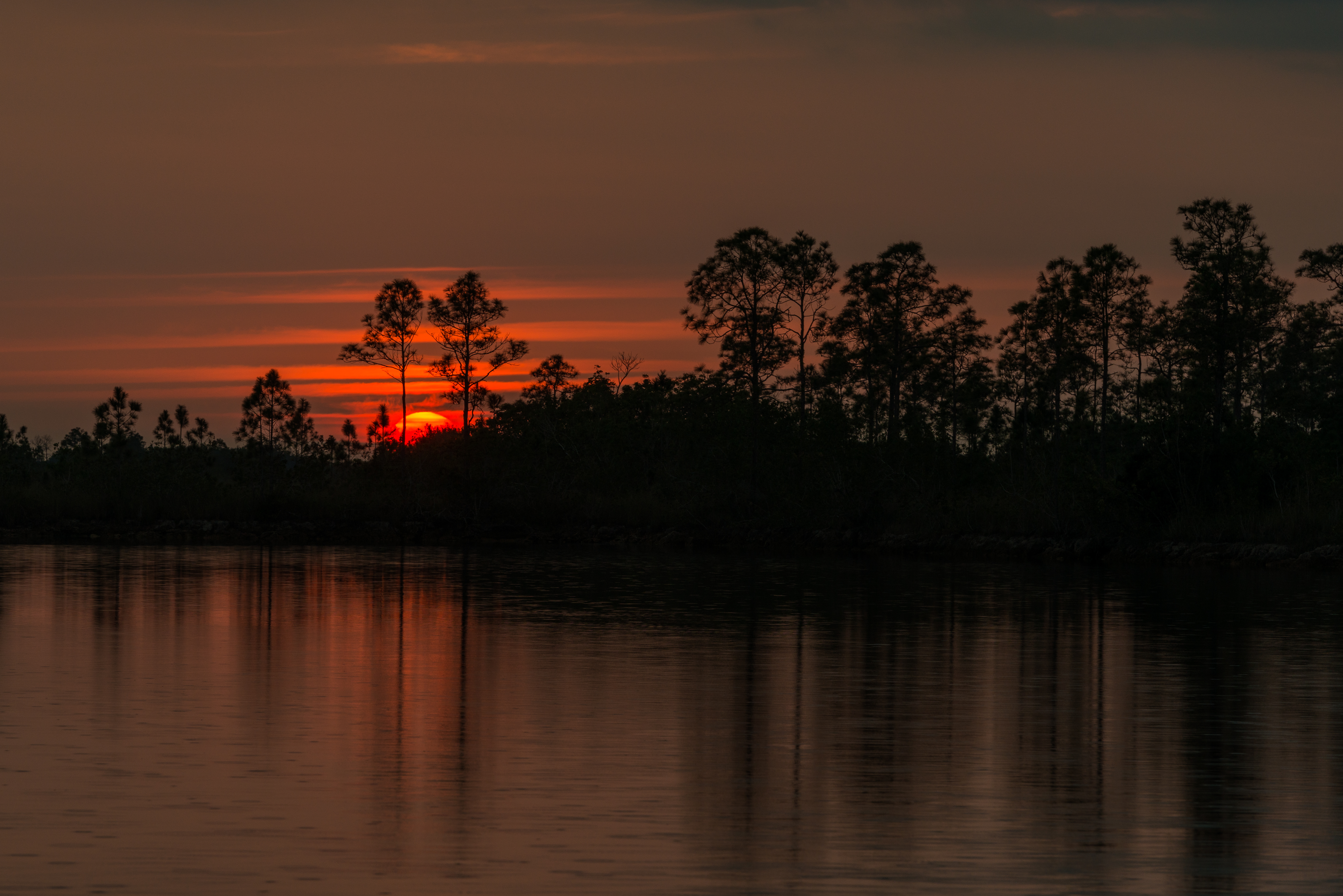 Everglades wilderness photography — archival print for your wall — Everglades (27 Of 60)