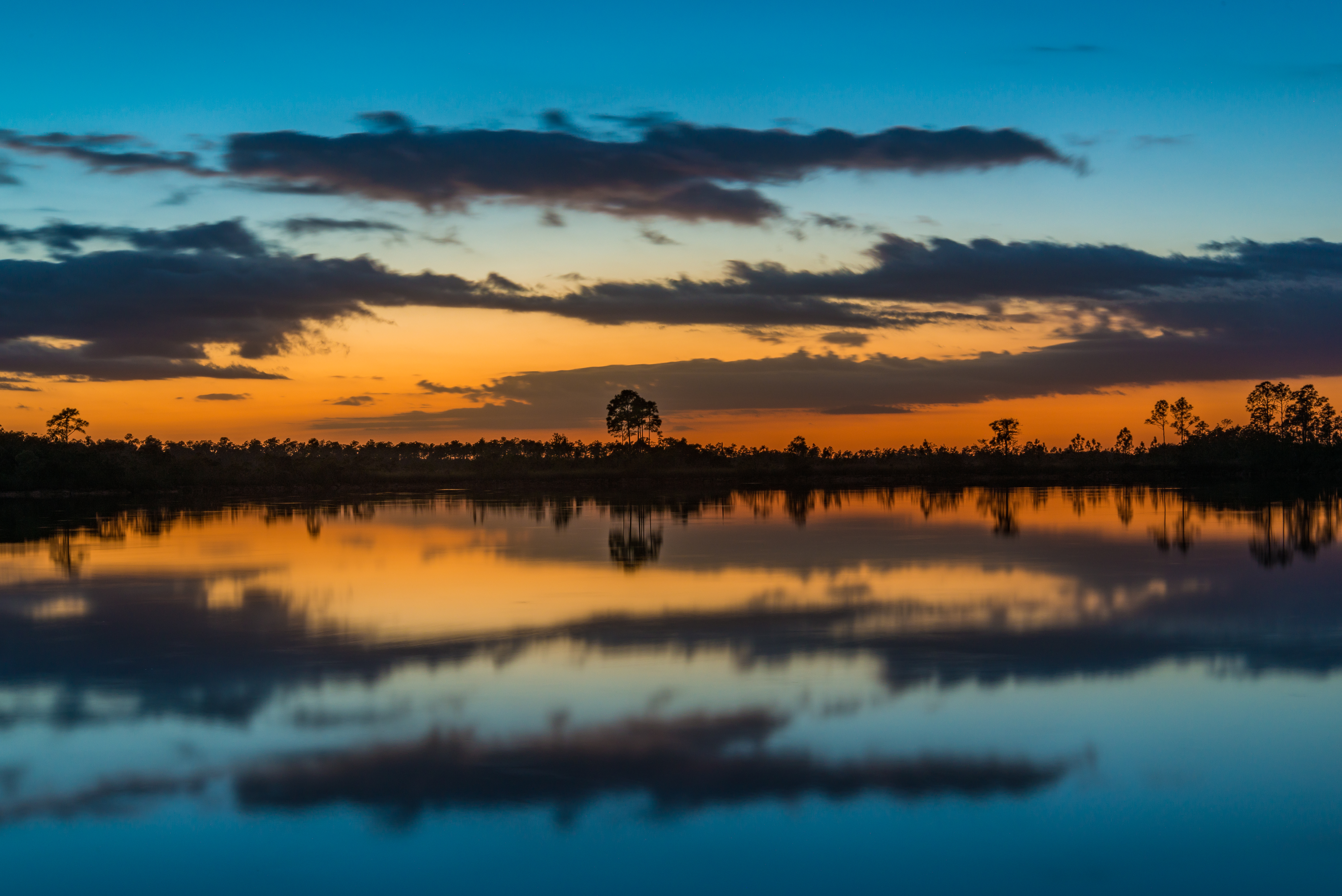 Everglades fine art photography print by Edin Chavez