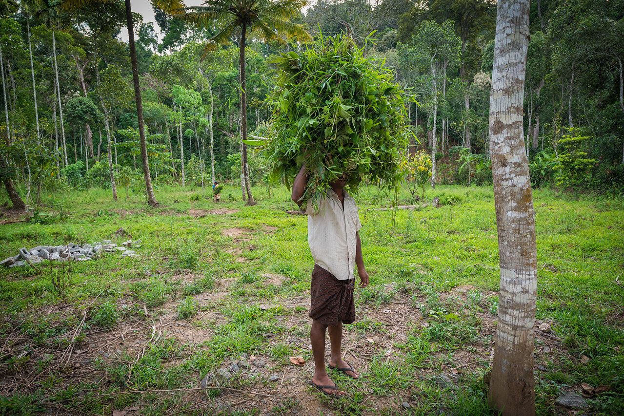 Faces of India — Fine Art Photography by Edin Chavez | Print 37