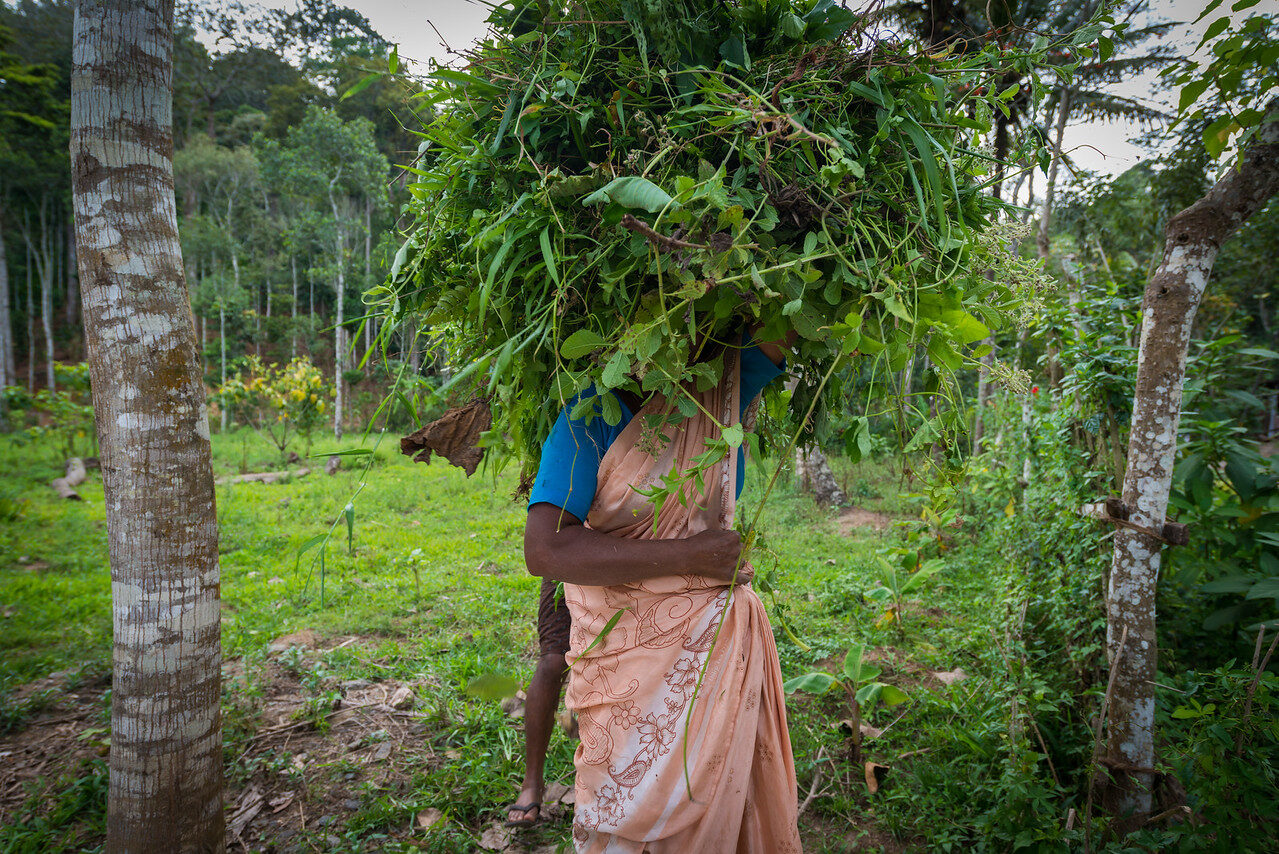 Faces of India — Fine Art Photography by Edin Chavez | Print 34