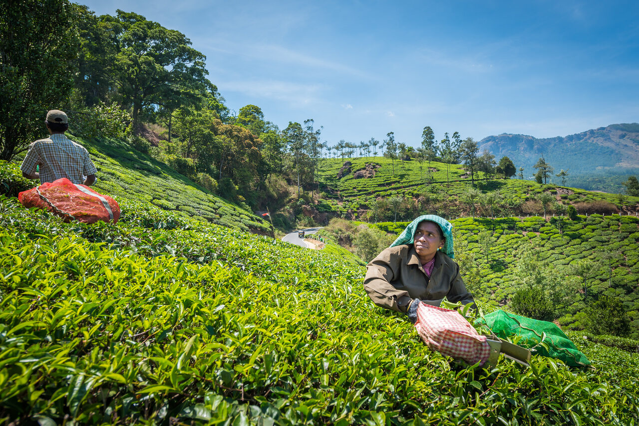 Faces of India — Fine Art Photography by Edin Chavez | Print 52