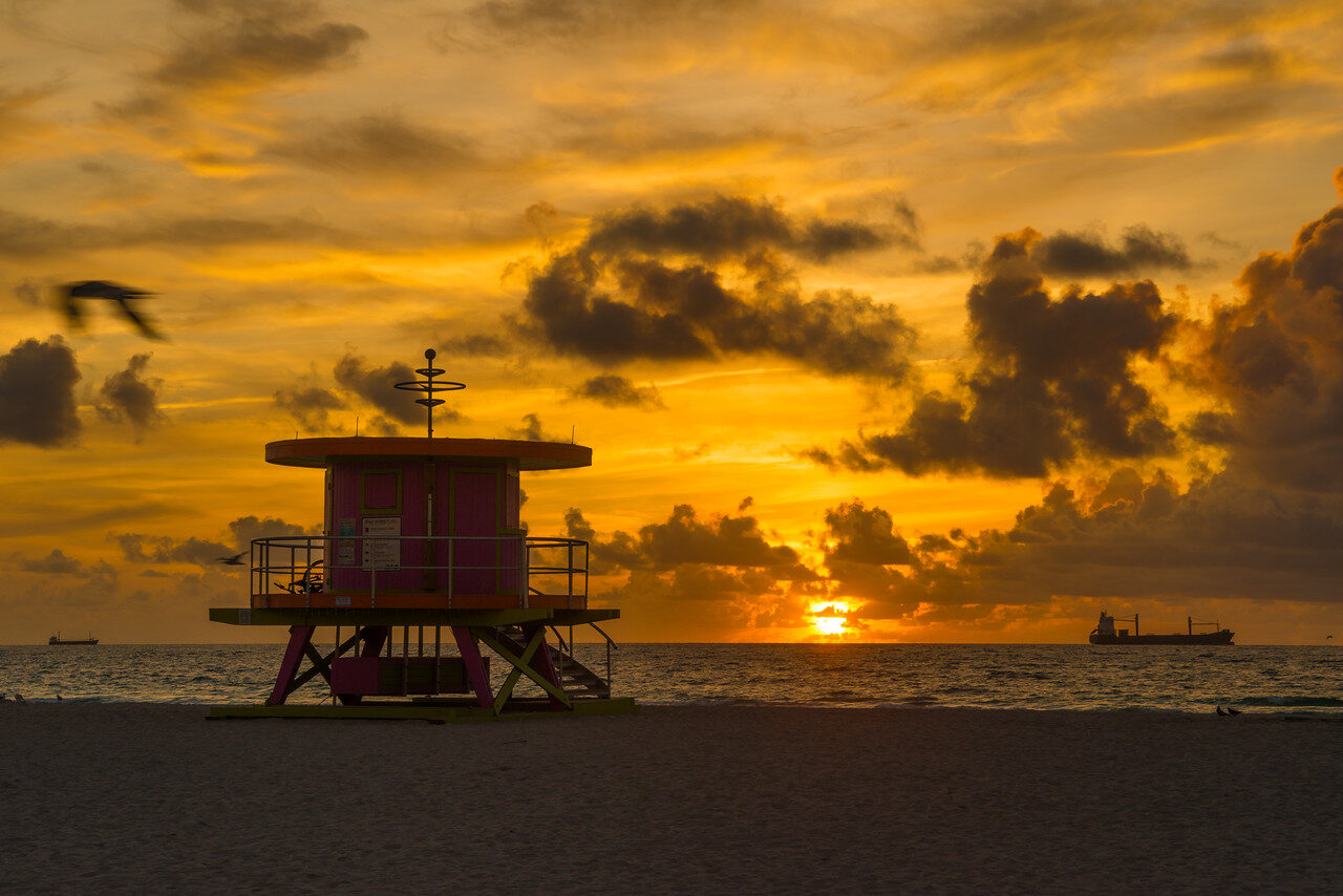 Favorites — Fine Art Photography by Edin Chavez | Print 161