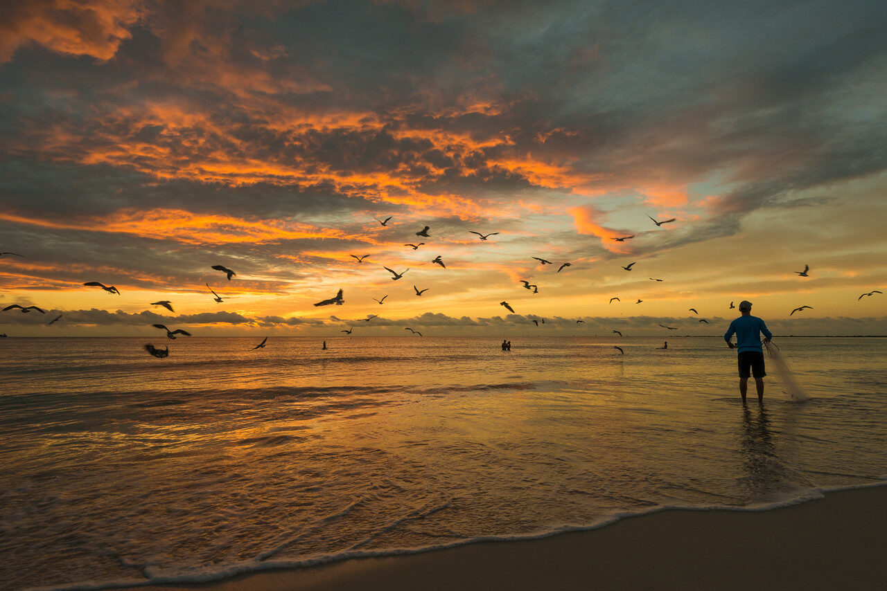 Favorites — Fine Art Photography by Edin Chavez | Print 108