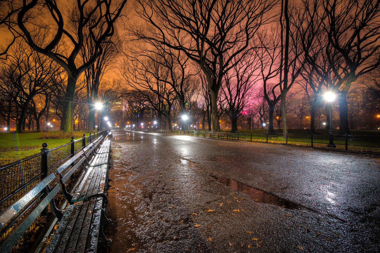 Favorites — Fine Art Photography by Edin Chavez | Print 24