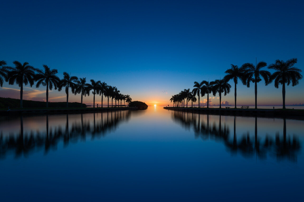 Favorites — Fine Art Photography by Edin Chavez | Print 89