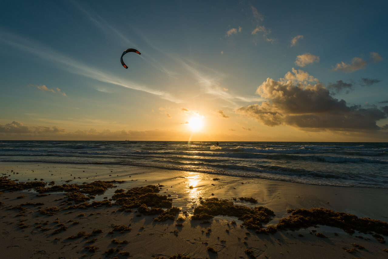 Miami Favorites — Fine Art Photography by Edin Chavez | Print 383