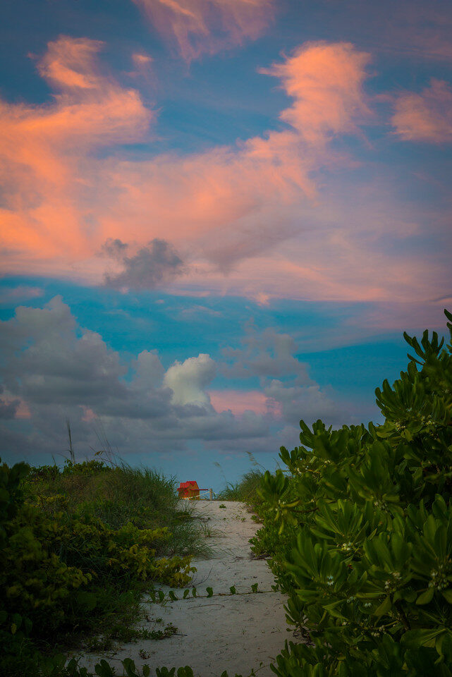 Miami Favorites — Fine Art Photography by Edin Chavez | Print 403