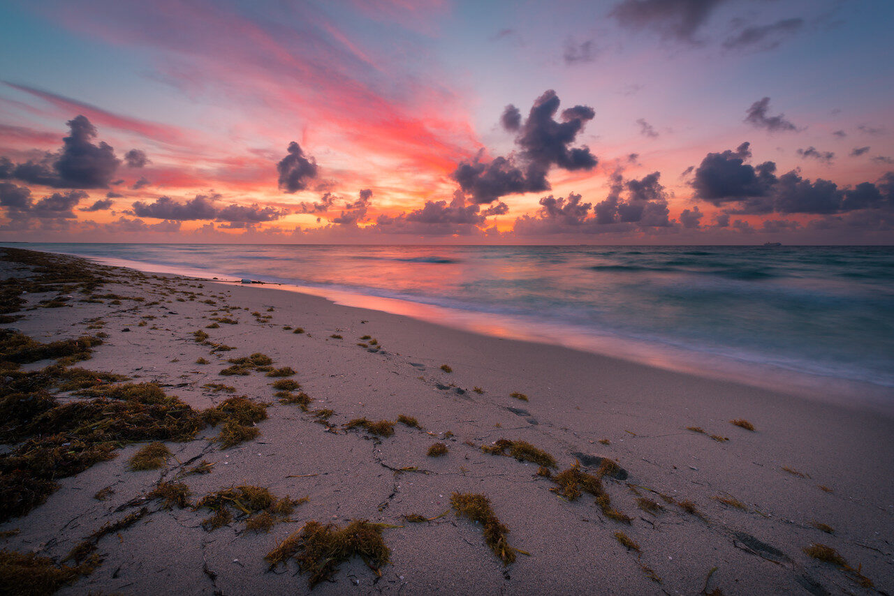 Miami Favorites — Fine Art Photography by Edin Chavez | Print 34