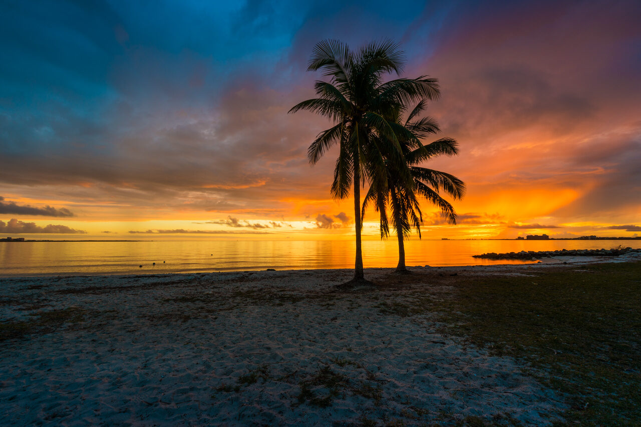 Miami Favorites — Fine Art Photography by Edin Chavez | Print 495