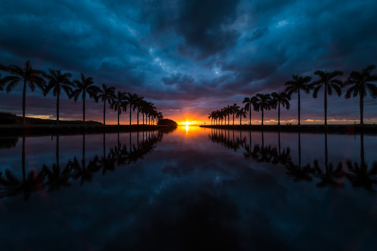 Miami Favorites — Fine Art Photography by Edin Chavez | Print 340