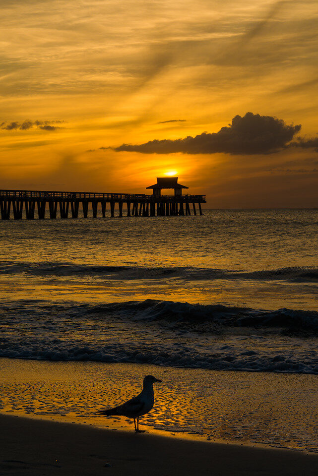 Naples Florida — Fine Art Photography by Edin Chavez | Print 13